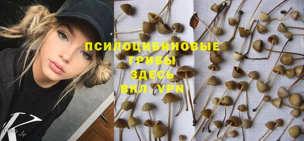 бутират Арсеньев
