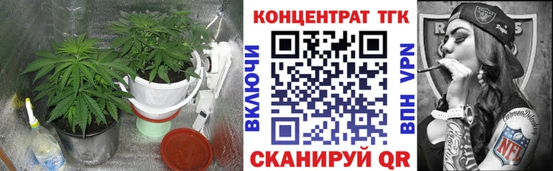 omg ТОР  Дорогобуж  ТГК жижа  даркнет сайт 