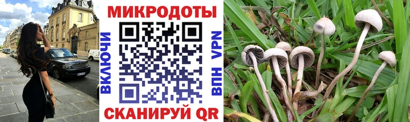 кракен ссылки  Дорогобуж  Псилоцибиновые грибы мухоморы  наркотики 